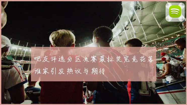 吧友评选分区决赛最拉奖究竟花落谁家引发热议与期待