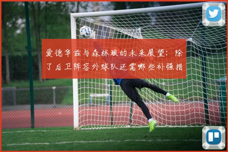 爱德华兹与森林狼的未来展望：除了后卫阵容外球队还需哪些补强措施